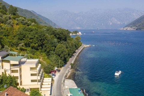 26 dormitorios Hotel en Kotor, Montenegro No. 66911 1