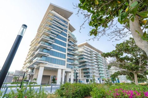 2 bedrooms Apartment on the Yas Island, UAE No. 42236 1