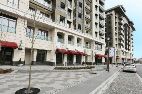 2+1 Apartment in Istanbul, Turkey No. 11176 12