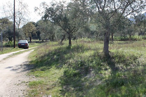 17643m² Land in Chalkidiki, Greece No. 60664 3