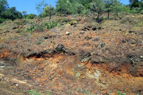 11700m² Land en Thasos, Greece No. 60440 9