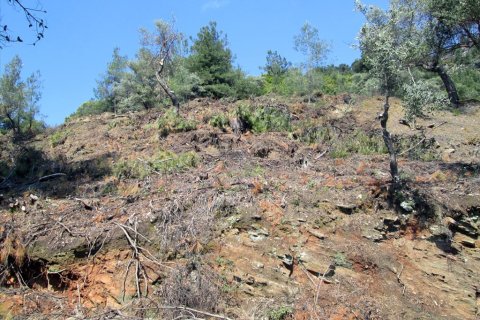 11700m² Land in Thasos, Greece No. 60440 11