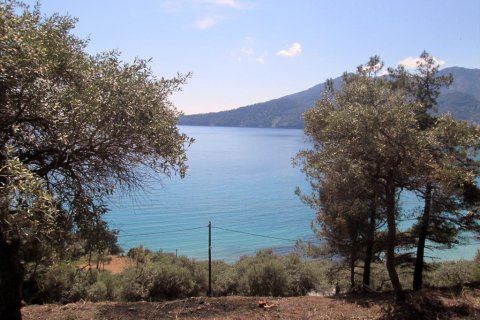 11700m² Land in Thasos, Greece No. 60440 5