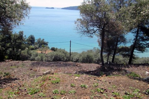 11700m² Land en Thasos, Greece No. 60440 8