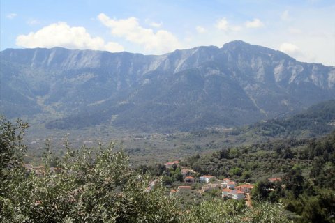 11700m² Land en Thasos, Greece No. 60440 2