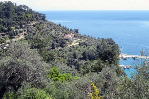 11700m² Land en Thasos, Greece No. 60440 6