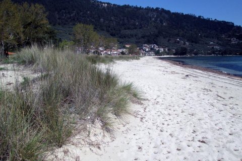 11700m² Land in Thasos, Greece No. 60440 13