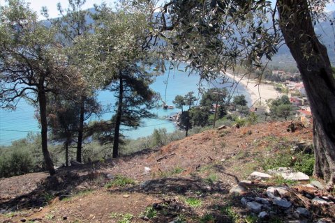 11700m² Land in Thasos, Greece No. 60440 7