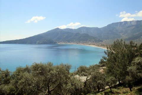 11700m² Land à Thasos, Greece No. 60440 1