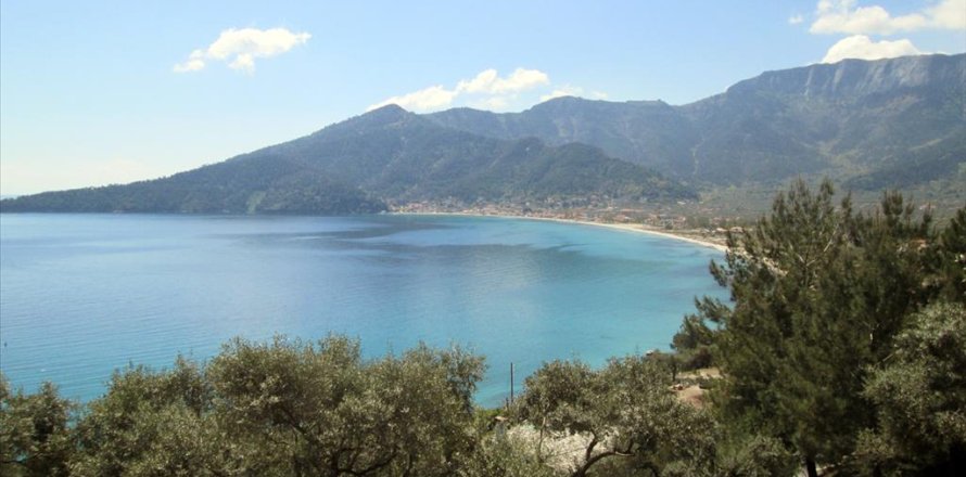 11700m² Land in Thasos, Greece No. 60440