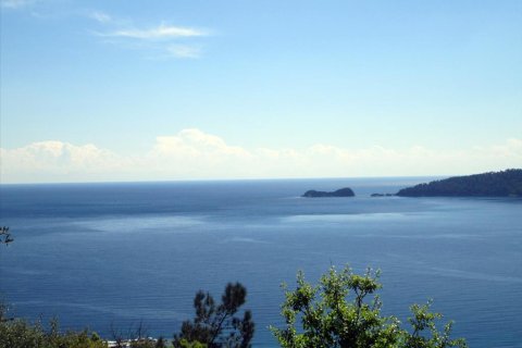 11700m² Land in Thasos, Greece No. 60440 4