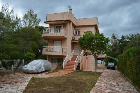 4 bedrooms House in Agioi Theodoroi, Greece No. 58713 4