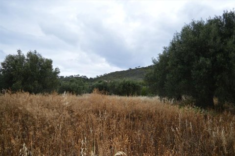 5693m² Land à Loutraki, Greece No. 58715 2