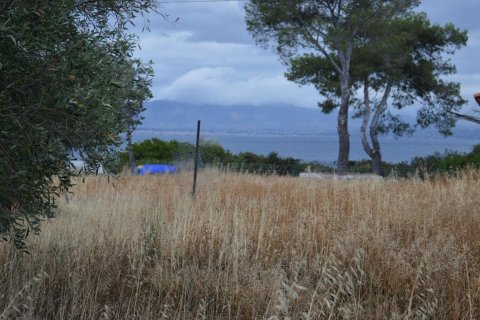 5693m² Land in Loutraki, Greece No. 58715 1