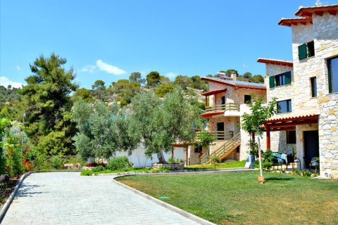 Commercial property à Peloponnese, Greece No. 49386 8