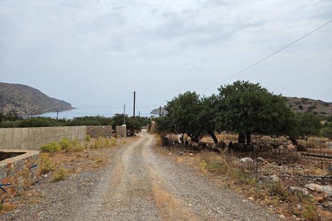 5337m² Land à Agios Nikolaos, Greece No. 54490 2