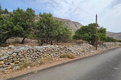 5337m² Land à Agios Nikolaos, Greece No. 54490 4