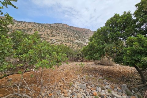 5337m² Land en Agios Nikolaos, Greece No. 54490 3