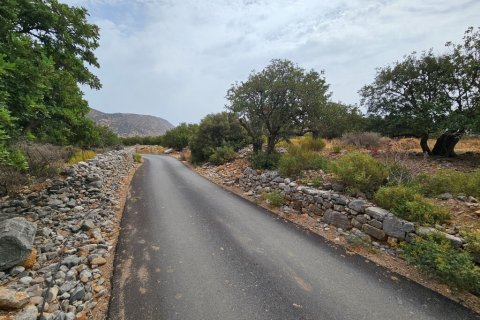 5337m² Land in Agios Nikolaos, Greece No. 54490 5