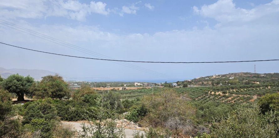 9039m² Land en Lasithi, Greece No. 54491