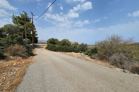 9039m² Land in Lasithi, Greece No. 54491 4