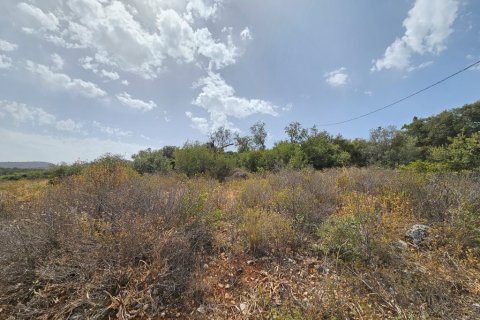 9039m² Land à Lasithi, Greece No. 54491 3