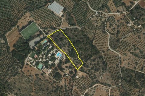 9039m² Land en Lasithi, Greece No. 54491 5