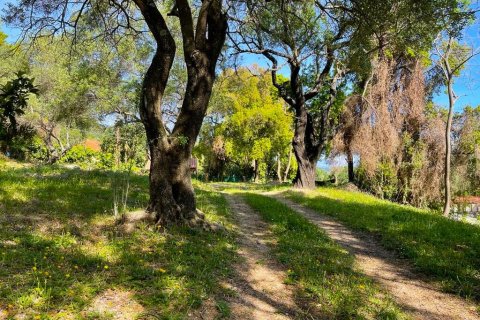 1 chambre House à Corfu, Greece No. 54680 7