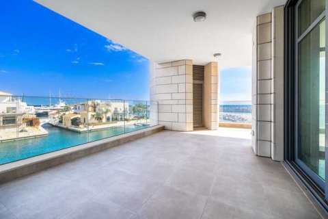 4 bedrooms Apartment in Limassol, Cyprus No. 43546 12