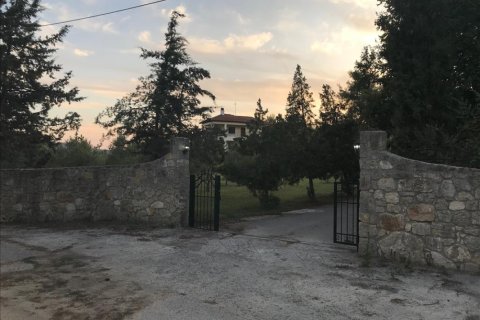 5 dormitorios Villa en Chalkidiki, Greece No. 47551 14