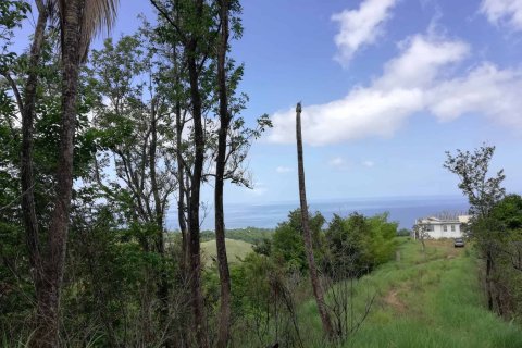 16835m² Land à Saint George, Dominica No. 66281 1