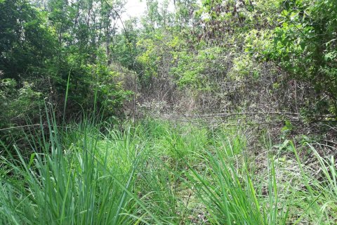 16835m² Land in Saint George, Dominica No. 66281 7