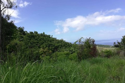 16835m² Land à Saint George, Dominica No. 66281 5