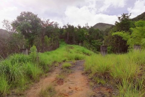 16835m² Land in Saint George, Dominica No. 66281 2