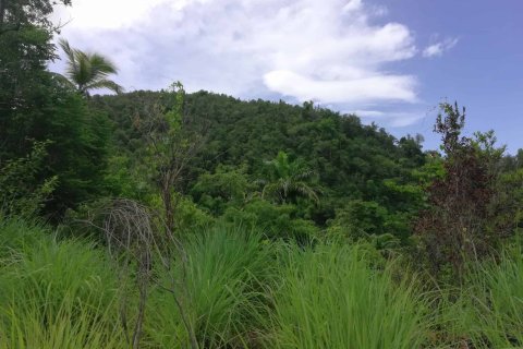 16835m² Land en Saint George, Dominica No. 66281 3