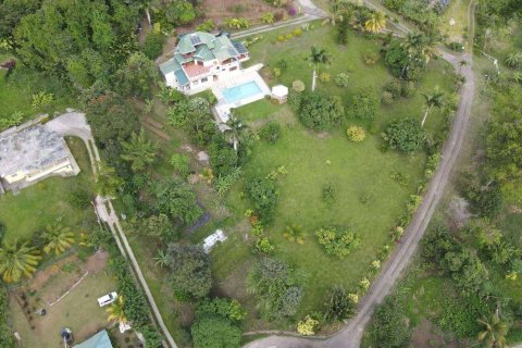 4 chambres House à Saint George, Dominica No. 66283 17