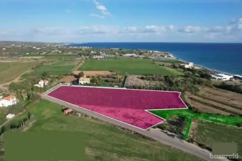 8027m² Land in Agios Theodoros, Cyprus No. 43971 2