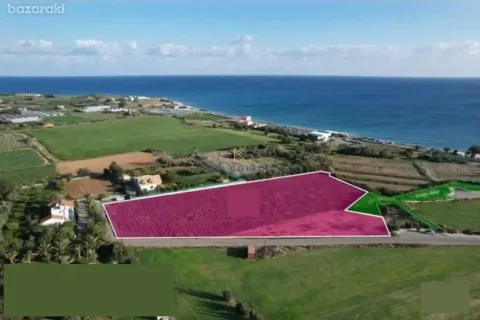 8027m² Land en Agios Theodoros, Cyprus No. 43971 3