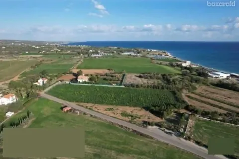 8027m² Land en Agios Theodoros, Cyprus No. 43971 4