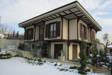 8+2 Villa en Istanbul, Turkey No. 15374 1