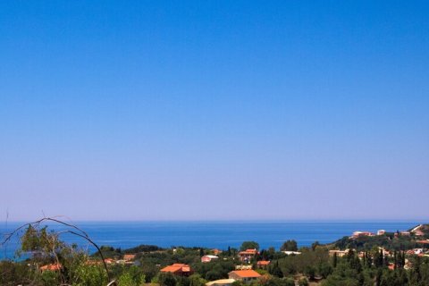 47368m² Land in Corfu, Greece No. 56328 4