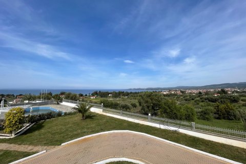 529m² Hotel in Chalkidiki, Greece No. 56332 4