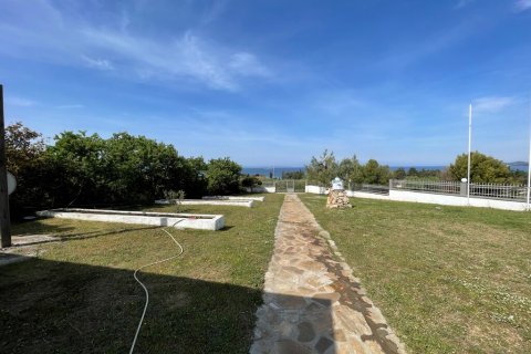 529m² Hotel à Chalkidiki, Greece No. 56332 12