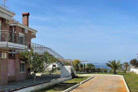 529m² Hotel in Chalkidiki, Greece No. 56332 20