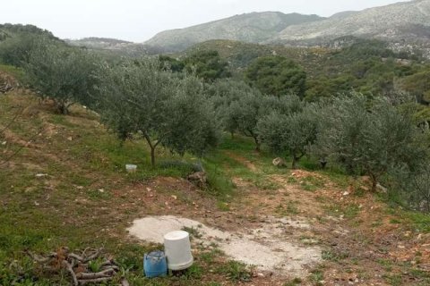 Land en Zakynthos, Greece No. 24576 11