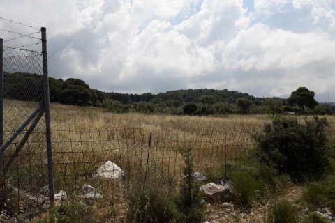 Land en Zakynthos, Greece No. 24578 19