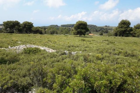 Land à Zakynthos, Greece No. 24578 14