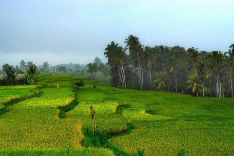 14 bedrooms Villa in Ubud, Indonesia No. 22877 7