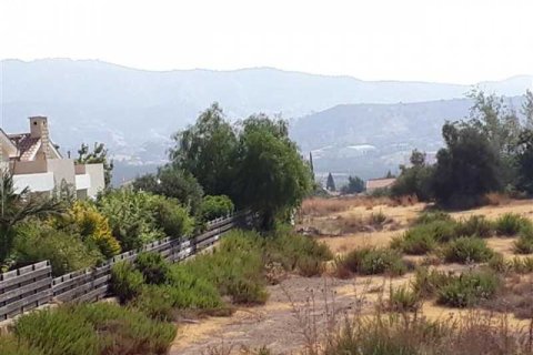 14138m² Land in Monagroulli, Cyprus No. 76329 3