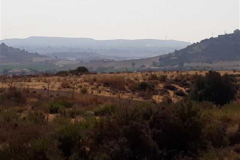 14138m² Land in Monagroulli, Cyprus No. 76329 6